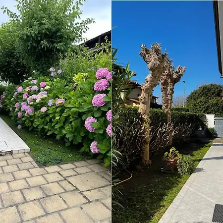Villa Degli Olmi - Relax E Mare Forte dei Marmi